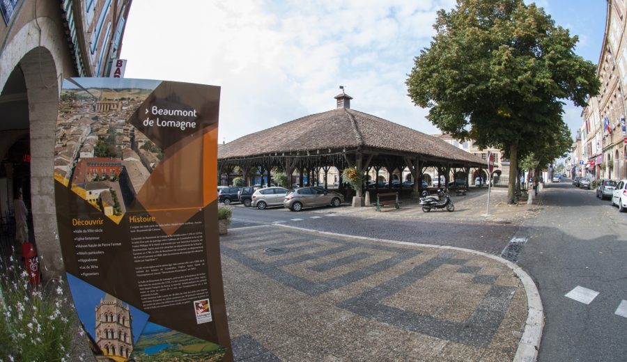 halles-de-beaumont-de-lomagne_14921024113_o halles-de-beaumont-de-lomagne_14921024113_o