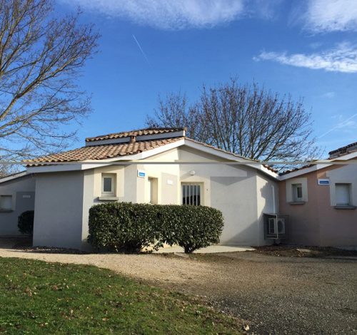 IMG_4685-Copier-500x470 IMG_4685-Copier-500x470