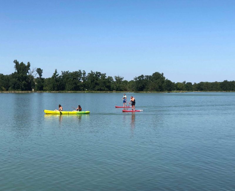 received_1175358219302774 received_1175358219302774