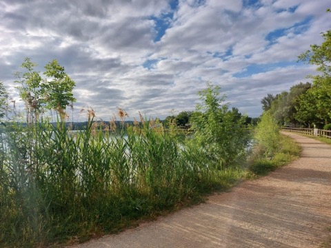 IMG_20240122_162425 IMG_20240122_162425