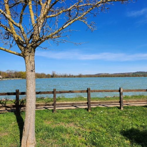 image00000111 2 image00000111 2